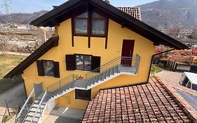 Trento Green